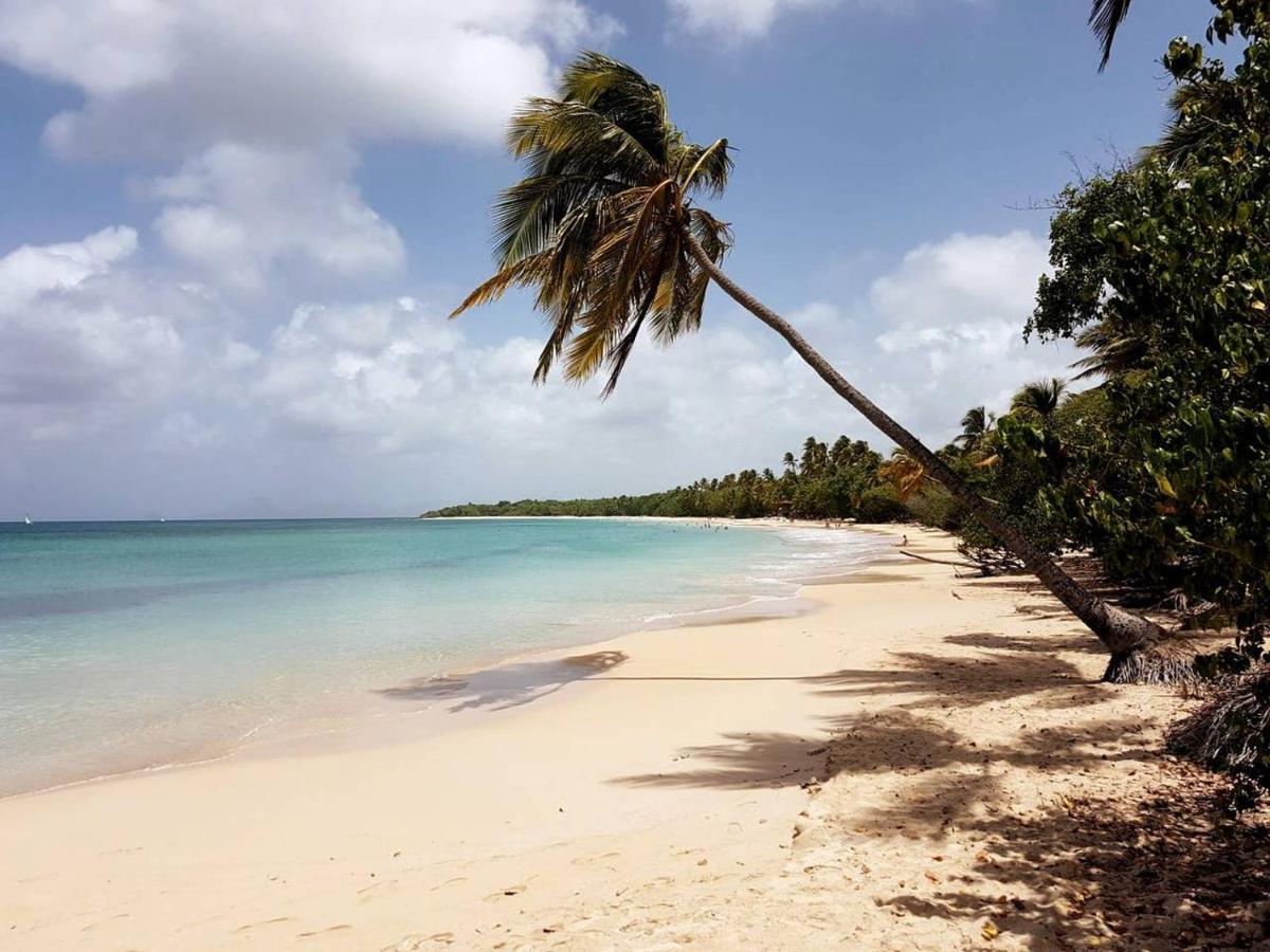 Dany Lodge - Spacieux T2 A 5 Minutes De La Plage En Voiture Riviere-Pilote ภายนอก รูปภาพ